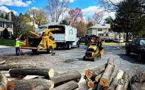Best Lawn Irrigation Installation and Maintenance  in Norwood, NY